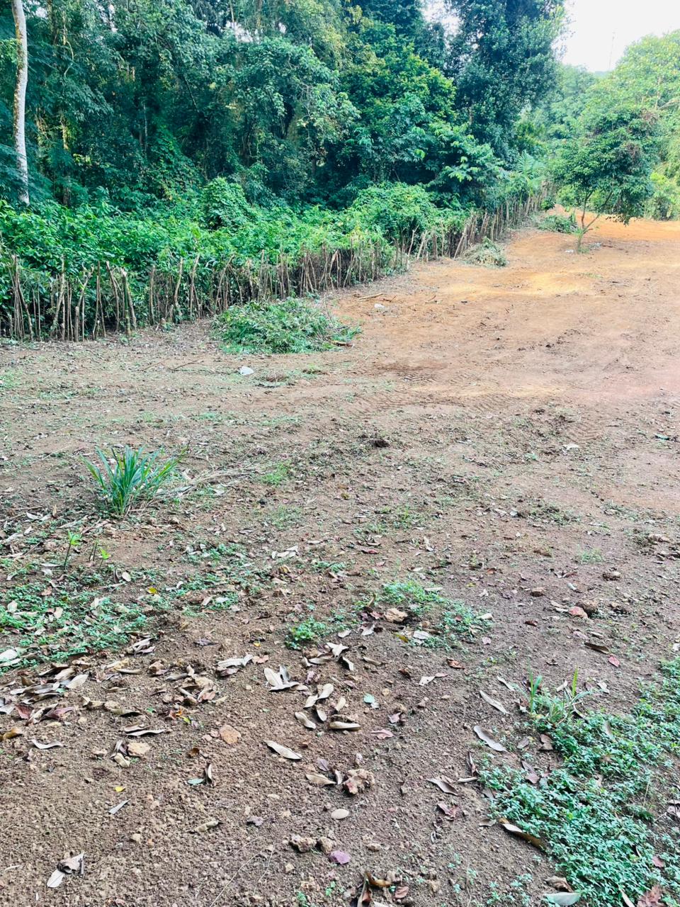 Land for sale / කොටස් වශයෙන් හෝ සම්පූර්න – Seethawaka