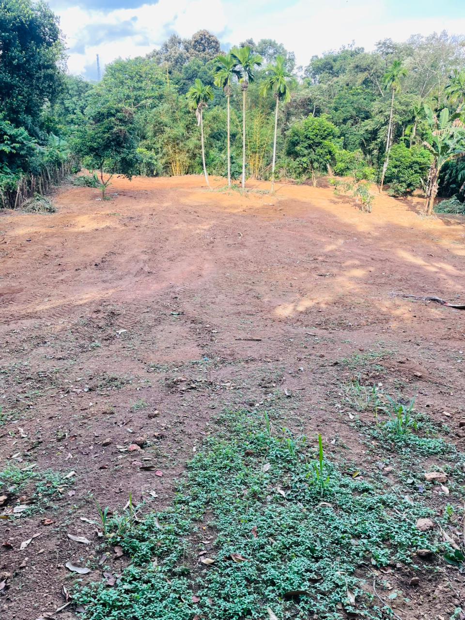 Land for sale / කොටස් වශයෙන් හෝ සම්පූර්න – Seethawaka