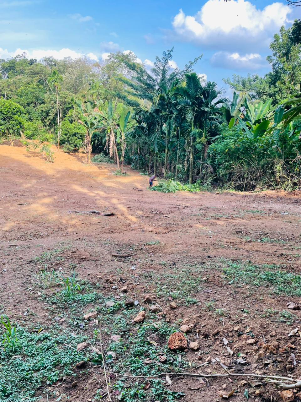 Land for sale / කොටස් වශයෙන් හෝ සම්පූර්න – Seethawaka