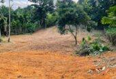 Land for sale / කොටස් වශයෙන් හෝ සම්පූර්න – Seethawaka