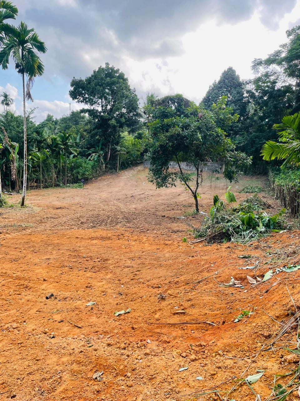 Land for sale / කොටස් වශයෙන් හෝ සම්පූර්න – Seethawaka