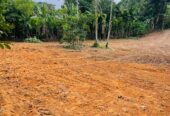 Land for sale / කොටස් වශයෙන් හෝ සම්පූර්න – Seethawaka