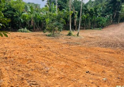 Land for sale / කොටස් වශයෙන් හෝ සම්පූර්න – Seethawaka