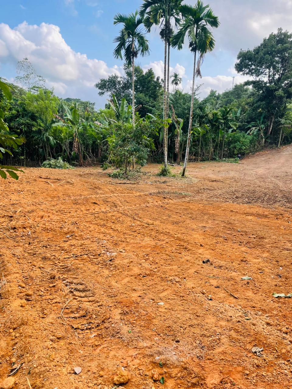 Land for sale / කොටස් වශයෙන් හෝ සම්පූර්න – Seethawaka
