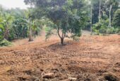 Land for sale / කොටස් වශයෙන් හෝ සම්පූර්න – Seethawaka