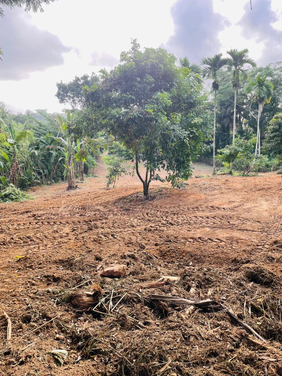 Land for sale / කොටස් වශයෙන් හෝ සම්පූර්න – Seethawaka