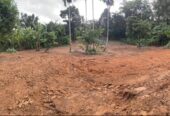 Land for sale / කොටස් වශයෙන් හෝ සම්පූර්න – Seethawaka