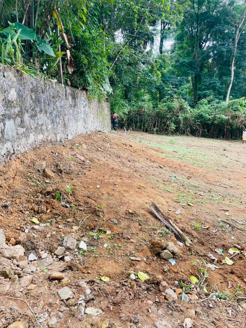 Land for sale / කොටස් වශයෙන් හෝ සම්පූර්න – Seethawaka