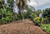Kesbewa Land for Sale