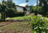 Kesbewa Land for Sale