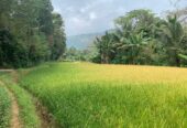 Land with House in Matale