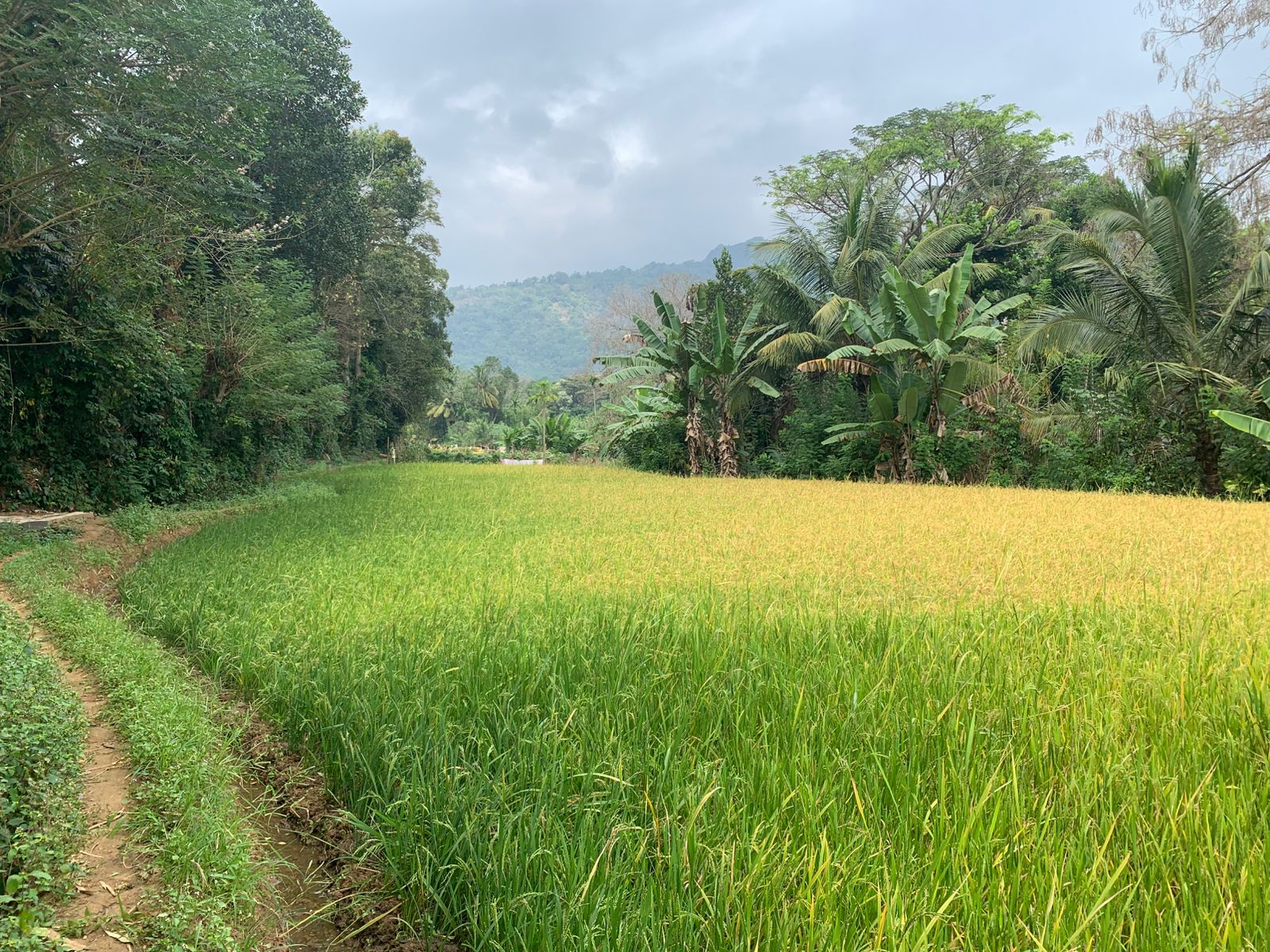 Land with House in Matale