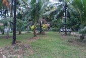 Land For Sale Nagahawaththa Makandura Gonawilla