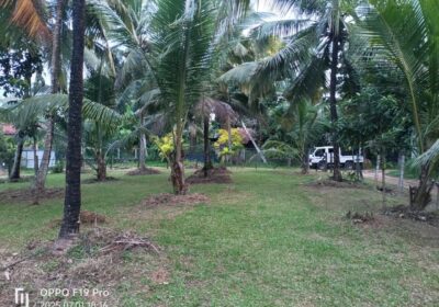 Land For Sale Nagahawaththa Makandura Gonawilla