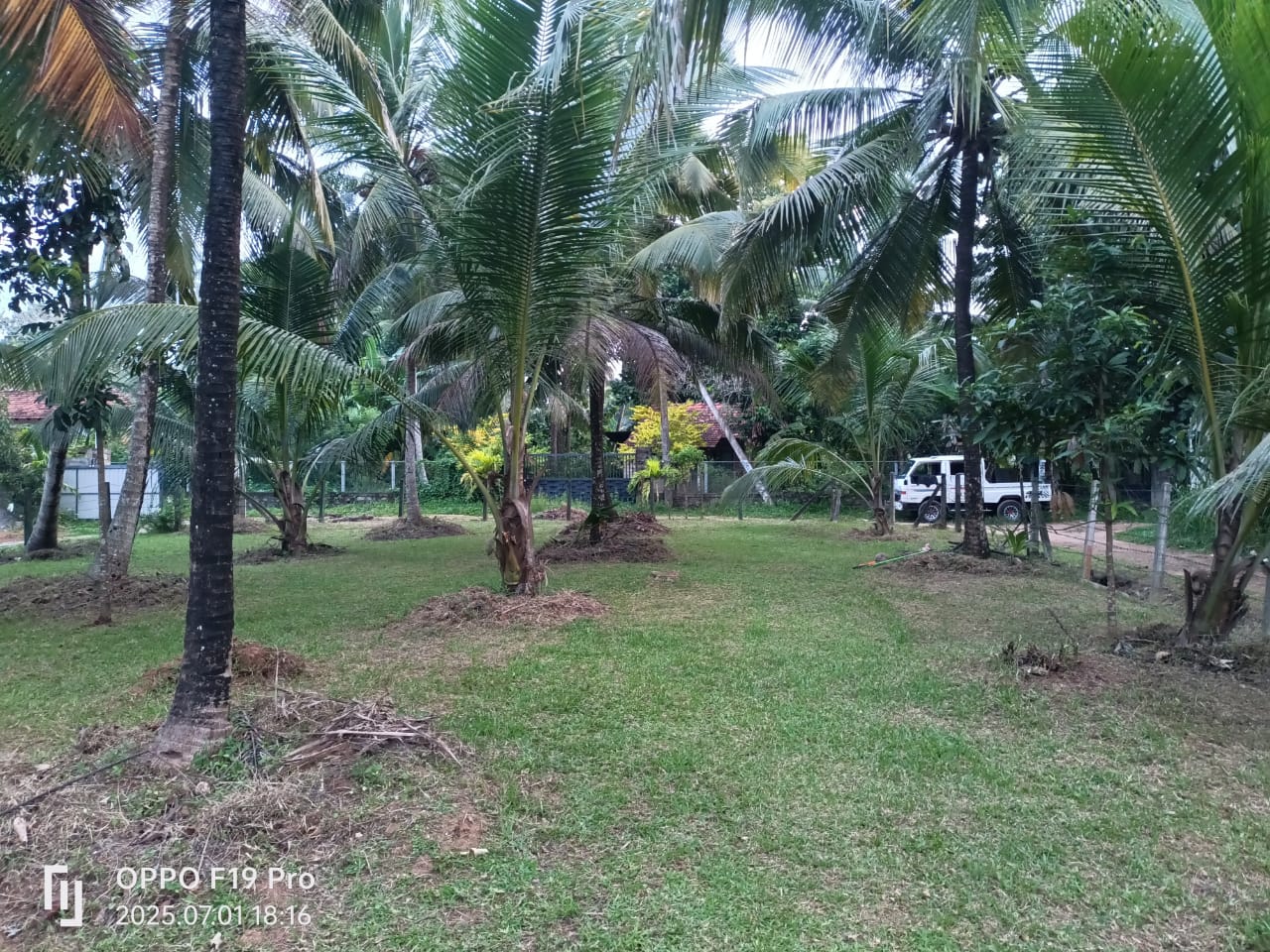 Land For Sale Nagahawaththa Makandura Gonawilla