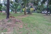 Land For Sale Nagahawaththa Makandura Gonawilla