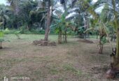 Land For Sale Nagahawaththa Makandura Gonawilla