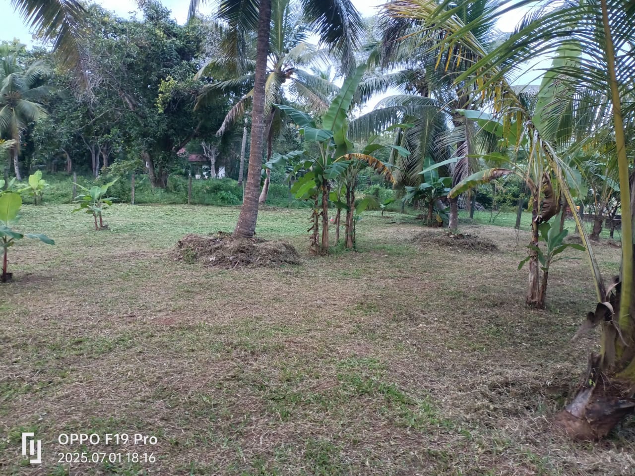 Land For Sale Nagahawaththa Makandura Gonawilla