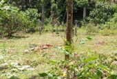 මොරගහහේනේ ඉඩමක් විකිණීමට ඇත