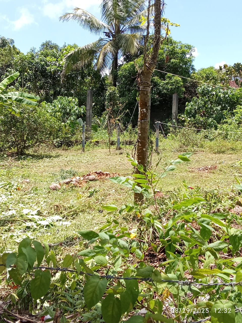 මොරගහහේනේ ඉඩමක් විකිණීමට ඇත