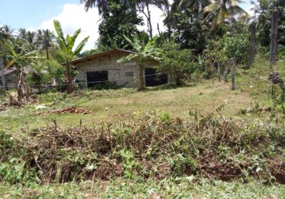 මොරගහහේනේ ඉඩමක් විකිණීමට ඇත