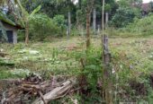 මොරගහහේනේ ඉඩමක් විකිණීමට ඇත