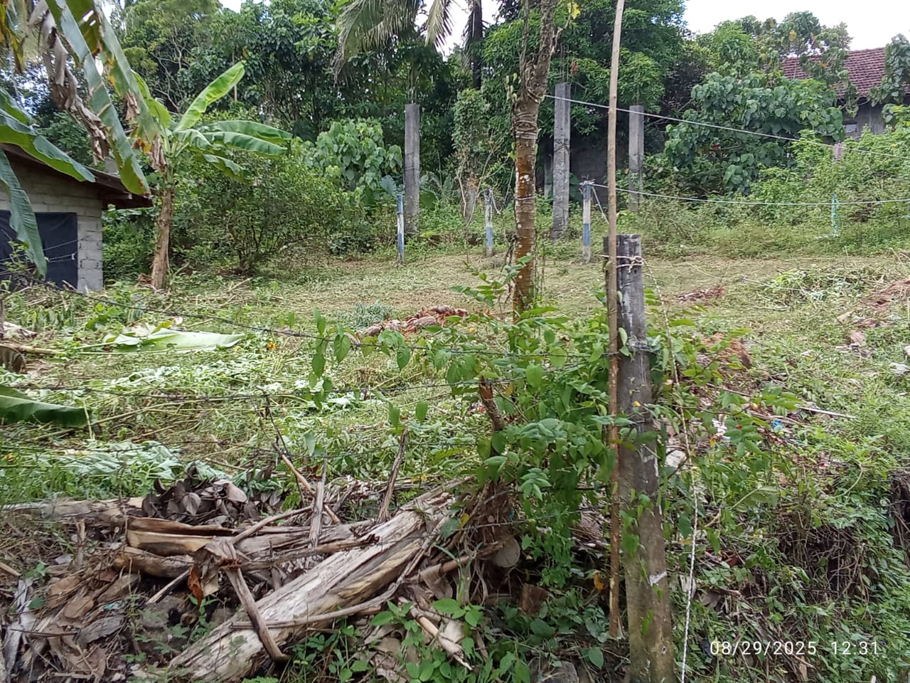 මොරගහහේනේ ඉඩමක් විකිණීමට ඇත