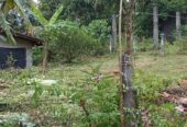මොරගහහේනේ ඉඩමක් විකිණීමට ඇත