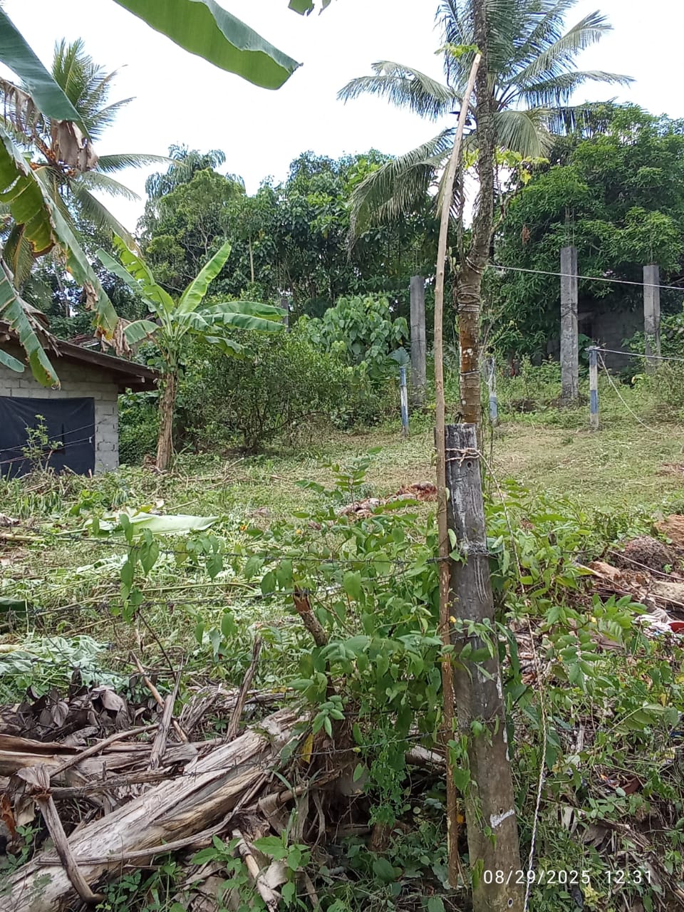 මොරගහහේනේ ඉඩමක් විකිණීමට ඇත