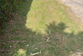 HOUSE FOR SALE IN PAMUNUGAMA, JA-ELA