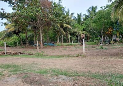 Commercial Land for Sale in Tangalle