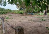 Commercial Land for Sale in Tangalle