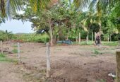Commercial Land for Sale in Tangalle
