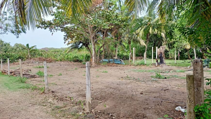 Commercial Land for Sale in Tangalle