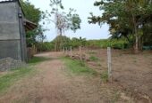 Commercial Land for Sale in Tangalle