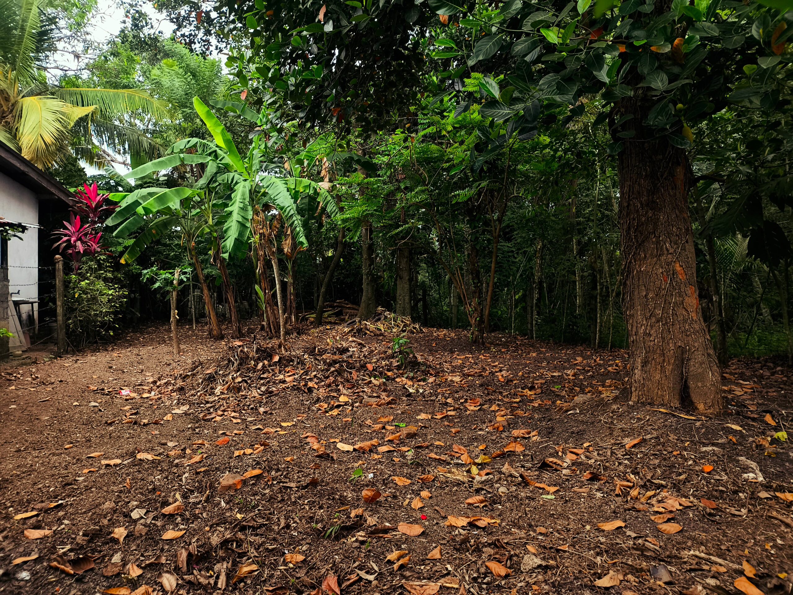 7 Perches Land Makandana