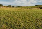 Land for Sale Bibila