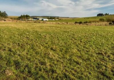 Land for Sale Bibila