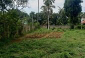 Land for Sale Bibila