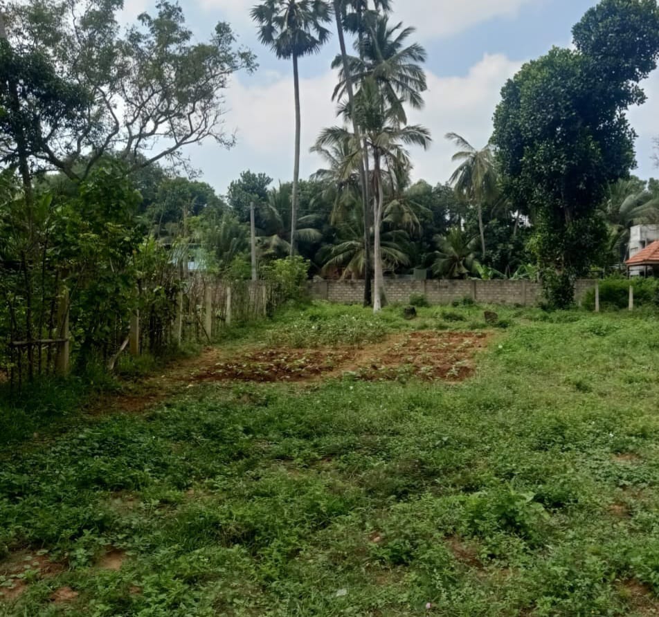 Land for Sale Bibila