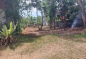 Land for Sale in Ja-Ela