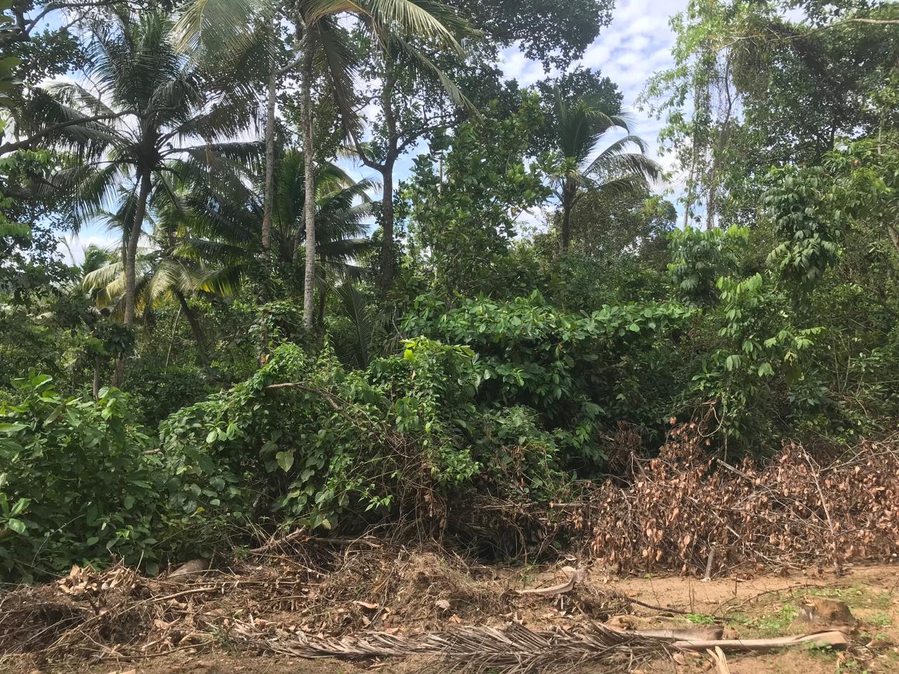 Land for Sale Matara