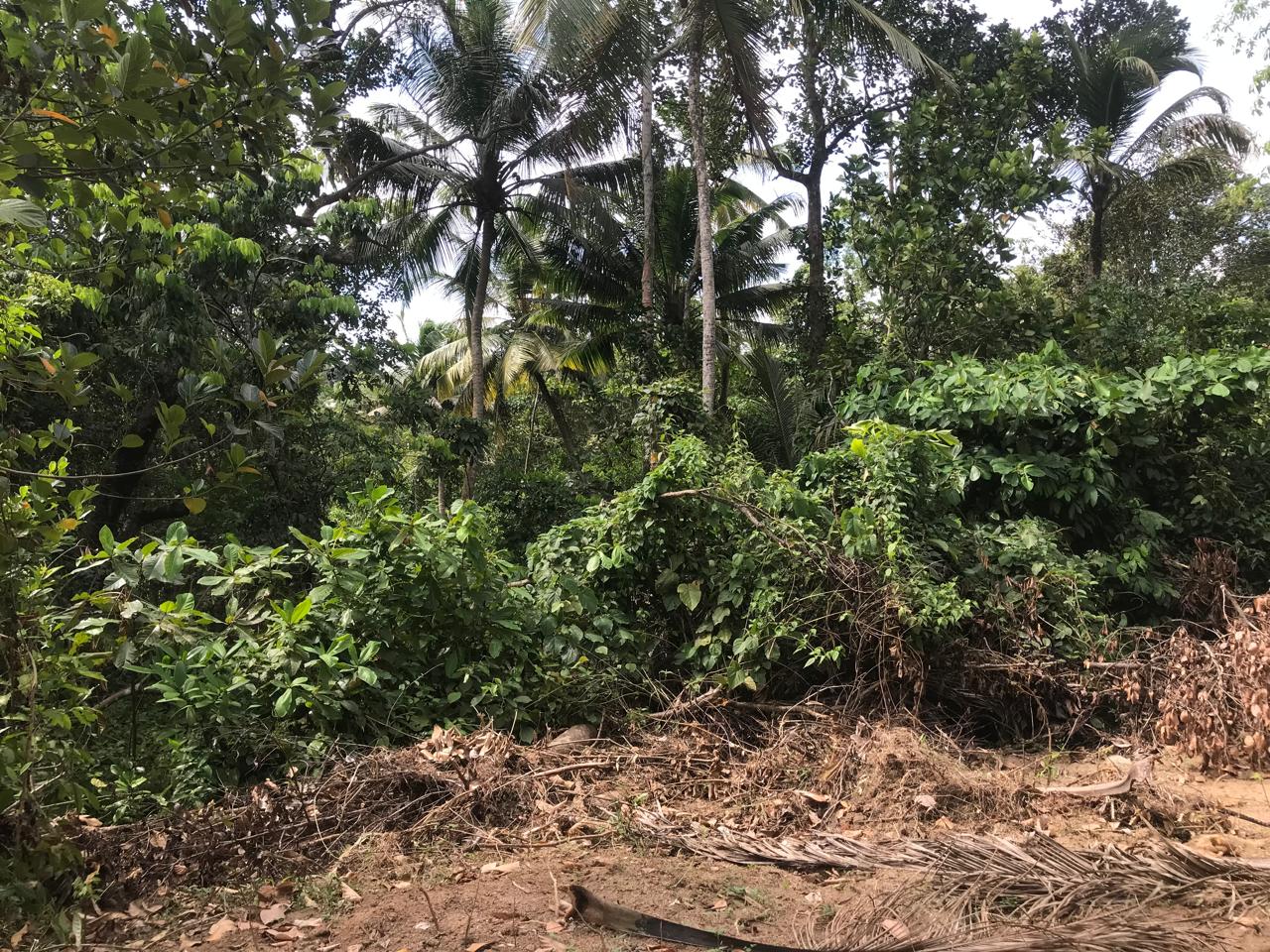Land for Sale Matara