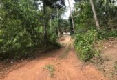 Land for Sale Matara