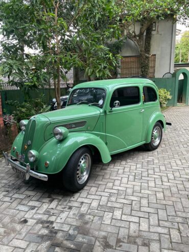 Ford Angila (1951)