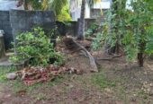 Land for Sale Nugegoda