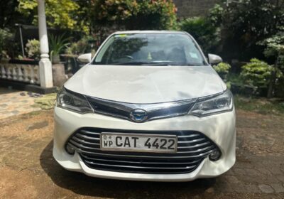 Toyota Axio 2016