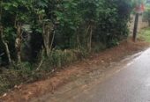 Land for Sale in Rattota, Matale