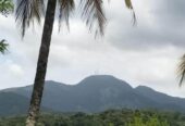 Land for Sale in Rattota, Matale