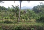 Land for Sale in Rattota, Matale